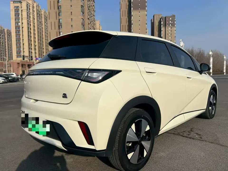 BYD Dolphin Dolphin 2023 Free Edition 2023 — миниатюра 2