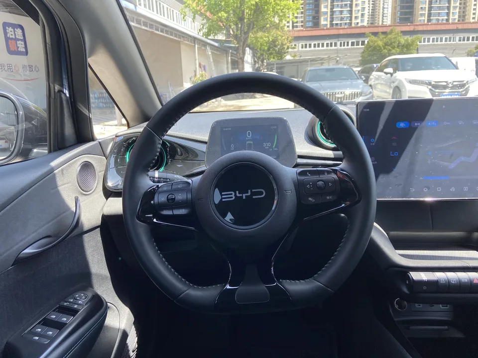 BYD Dolphin Dolphin 2025 420KM Freedom Edition 2025 — миниатюра 3