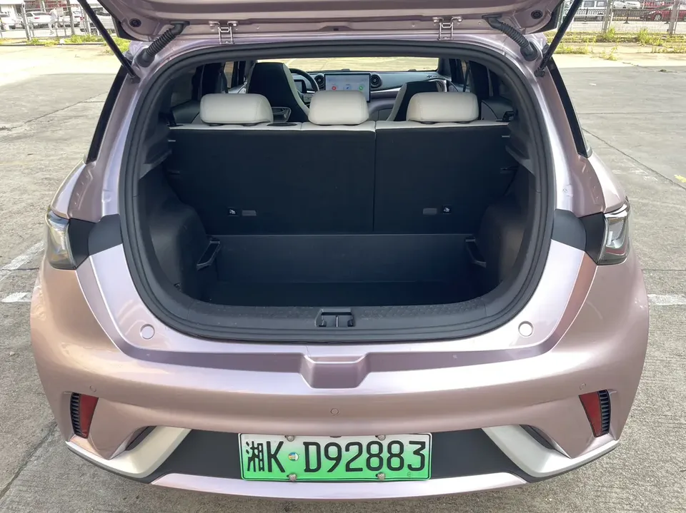 BYD Dolphin Dolphin 2025 420KM Fashion Edition 2025 — миниатюра 5