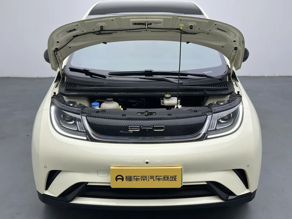BYD Dolphin Dolphin 2023 Fashion Edition 2023 — миниатюра 2