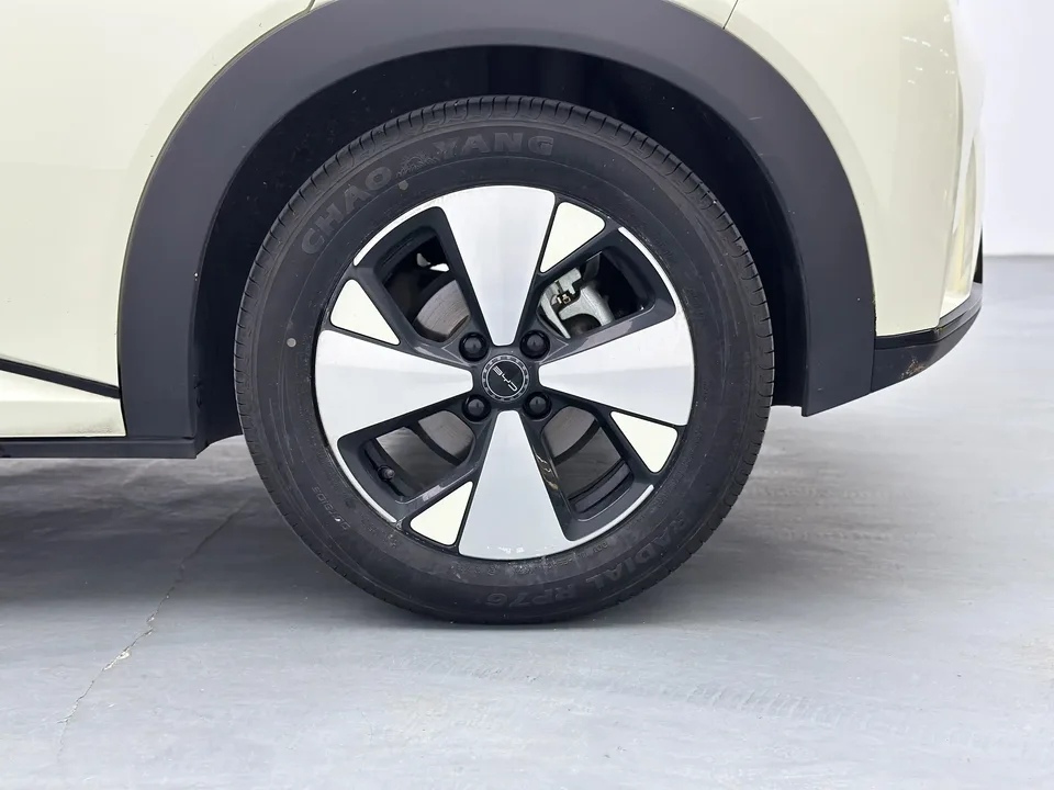 BYD Dolphin Dolphin 2023 Fashion Edition 2023 — миниатюра 4