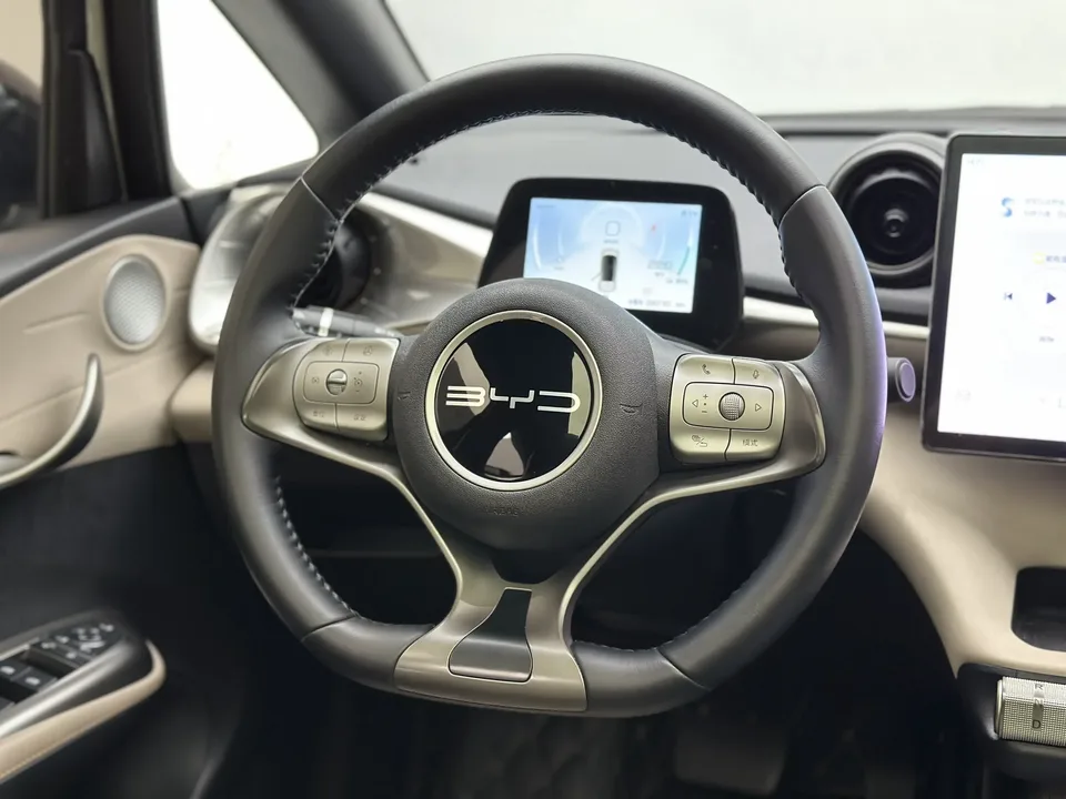 BYD Dolphin Dolphin 2023 Fashion Edition 2023 — миниатюра 5