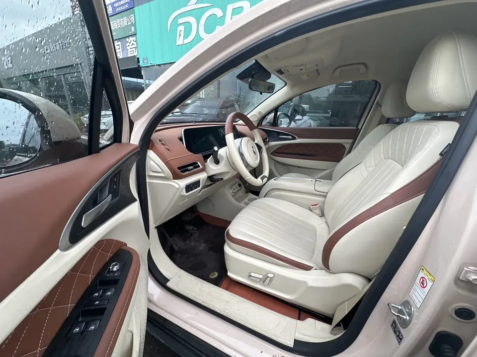ORA Euler good cat 401km standard range luxury lithium iron phosphate 2024 — миниатюра 3