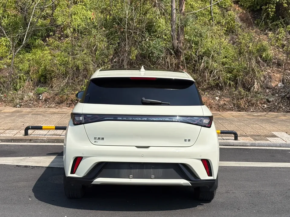 BYD Dolphin Honor Edition 420km Fashion Edition 2024 — миниатюра 2