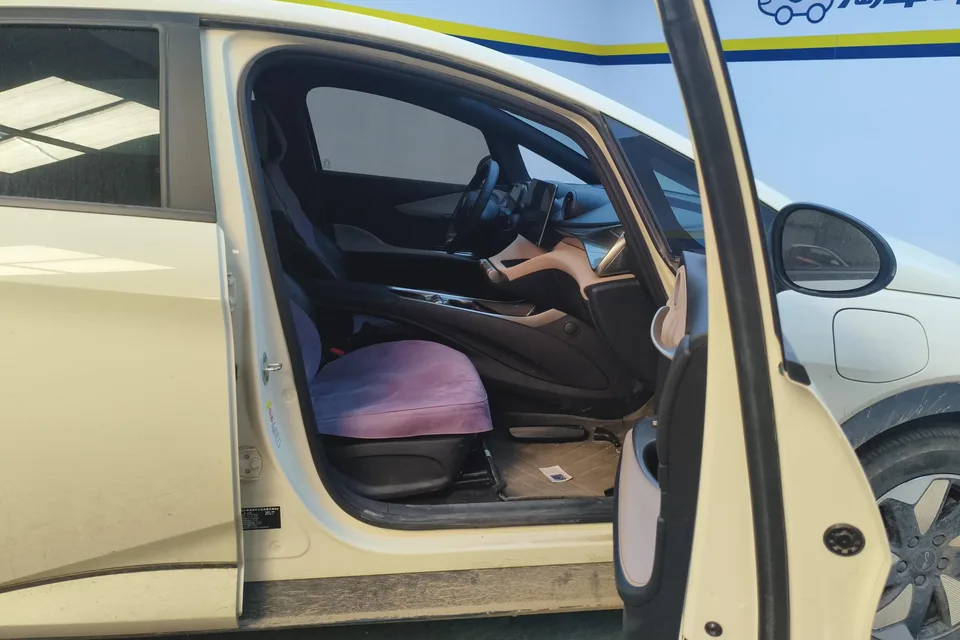 BYD Dolphin Dolphin 2025 420KM Freedom Edition 2024 — миниатюра 3