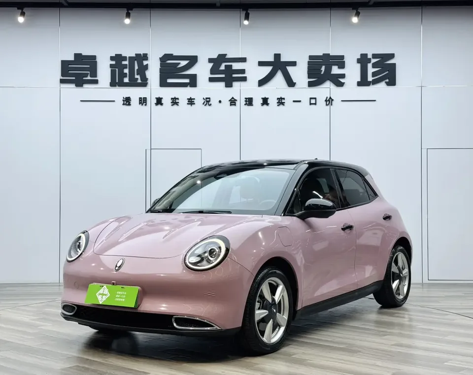 ORA Euler good cat 401km standard range luxury lithium iron phosphate 2024 — фото 1, купить с доставкой в Москву