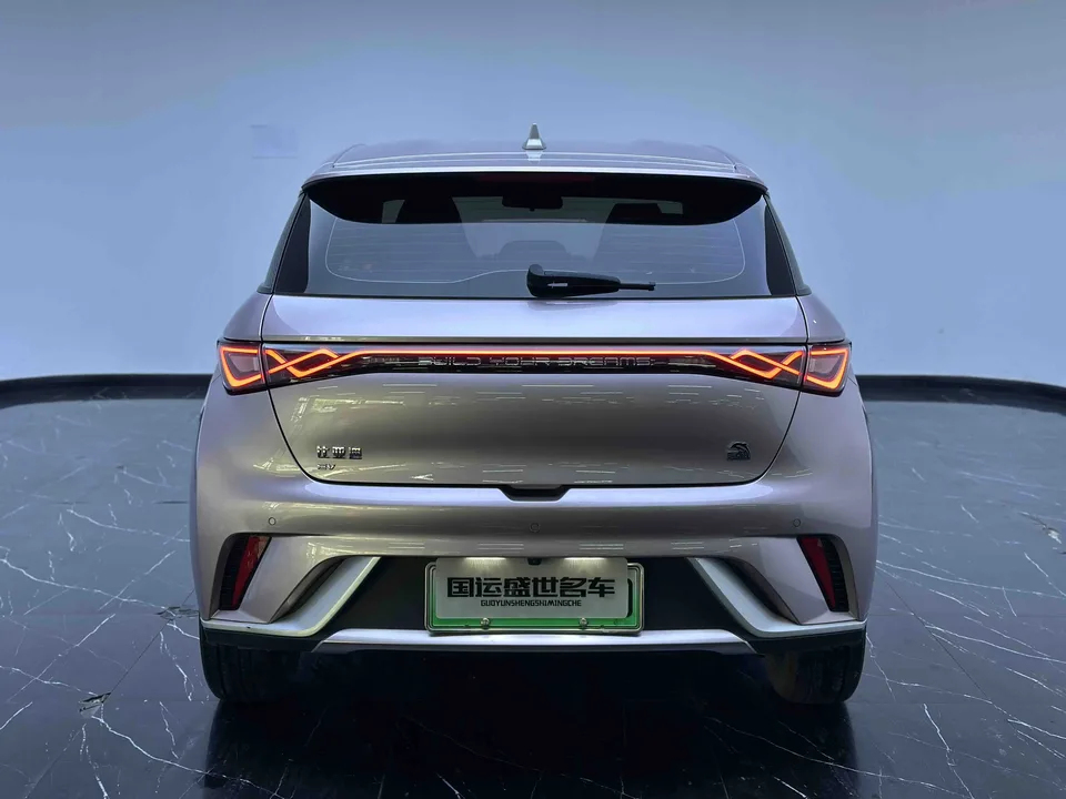 BYD Dolphin Dolphin 2023 Free Edition 2023 — миниатюра 2