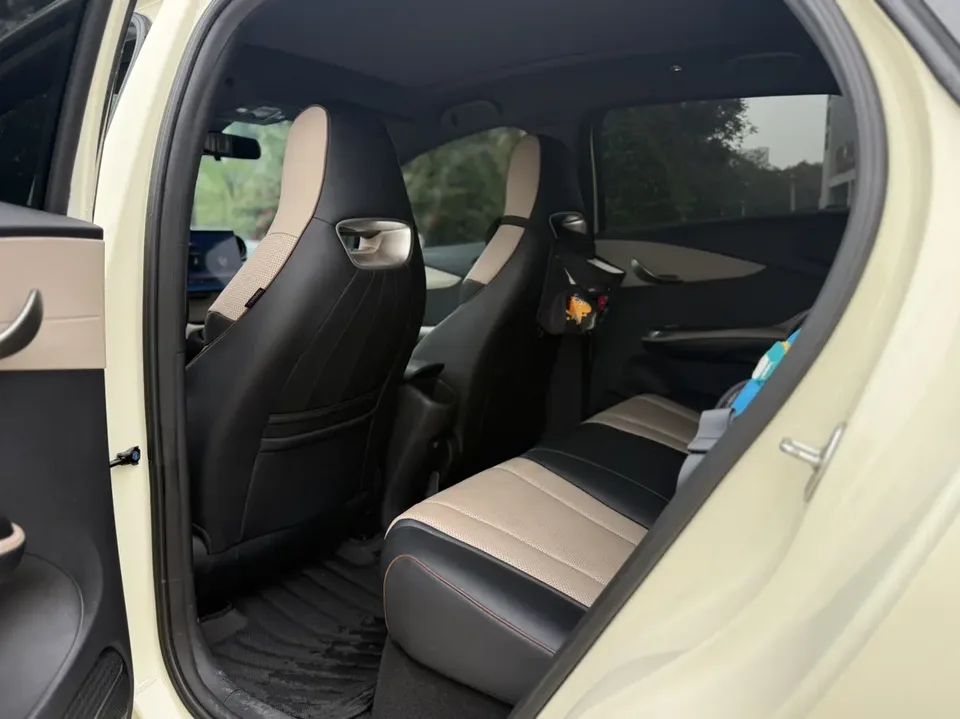 BYD Dolphin Honor Edition 420km Free Edition 2024 — миниатюра 3