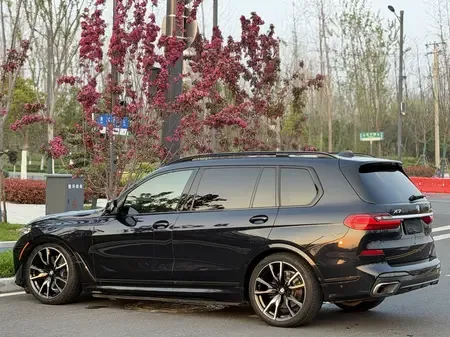 BMW X7 Buick GL8 2023 ES Lu Zun 2.0T Premium Edition 2022 — миниатюра 3