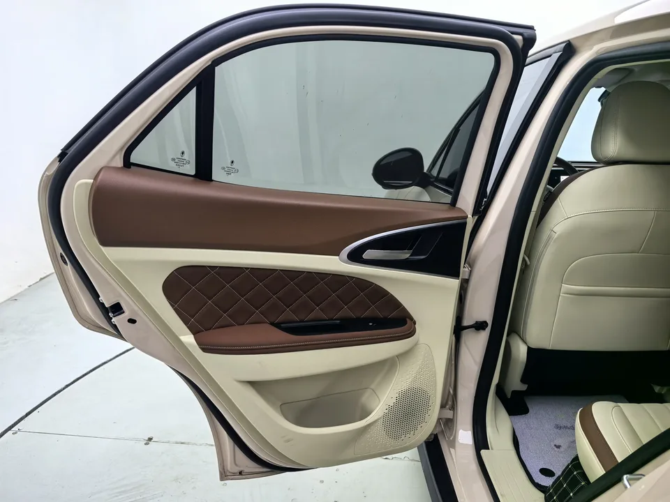 ORA Euler good cat 401km standard range luxury lithium iron phosphate 2024 — миниатюра 5