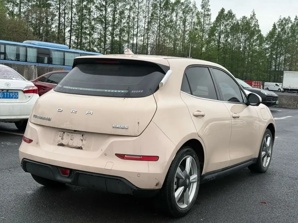 ORA Euler good cat Morandi Edition 400km Standard Range Premium Lithium Iron Phosphate 2022 — миниатюра 2