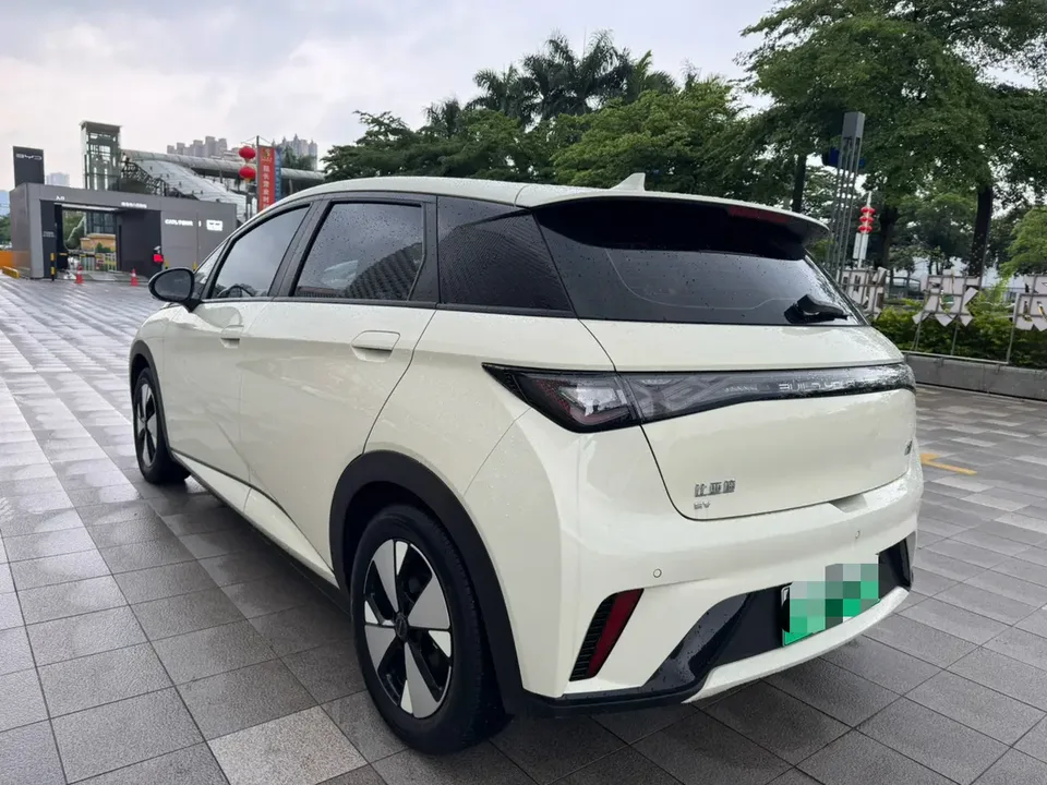 BYD Dolphin Dolphin 2023 Free Edition 2024 — миниатюра 2