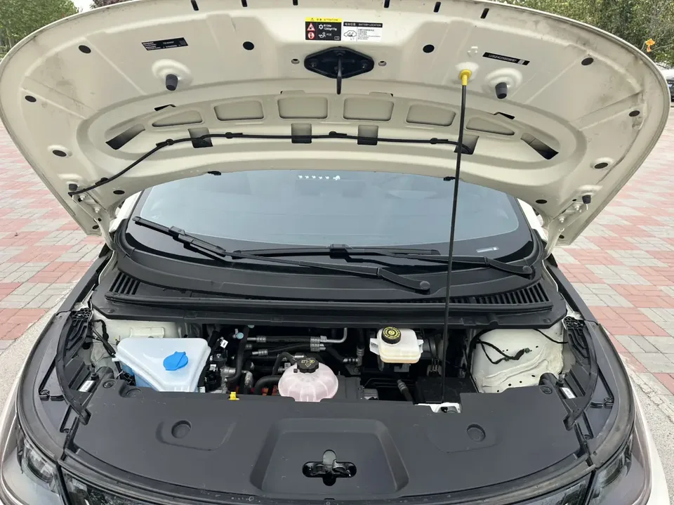 BYD Dolphin Smart Driving Edition 420KM Freedom Edition 2025 — миниатюра 2