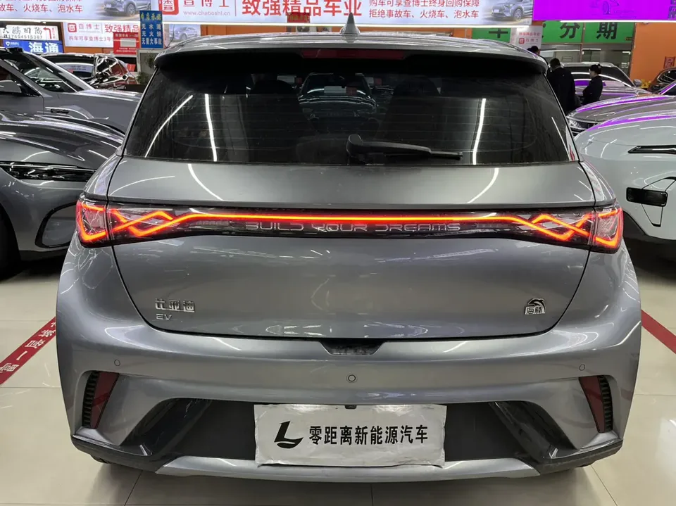 BYD Dolphin Dolphin 2023 Fashion Edition 2023 — миниатюра 2