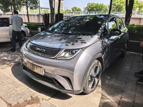 BYD Dolphin 2023 buy in Moscow