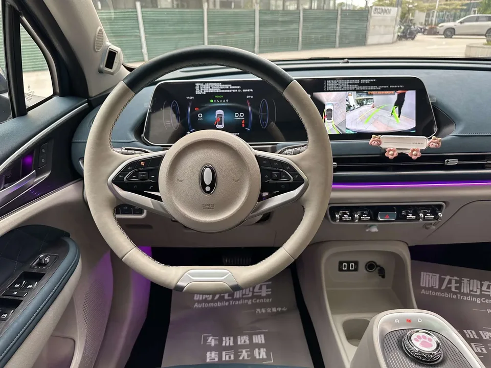 ORA Euler good cat 400km standard range premium ternary lithium model 2022 — миниатюра 5