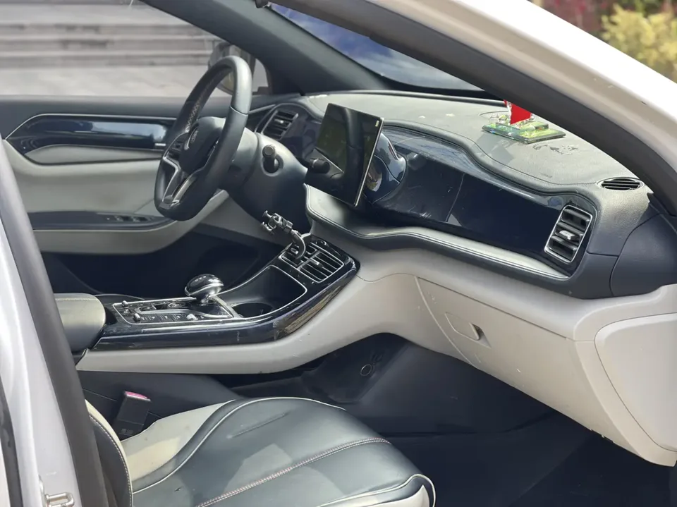 BYD Qin PLUS EV 500KM Luxury Edition 2022 — миниатюра 3