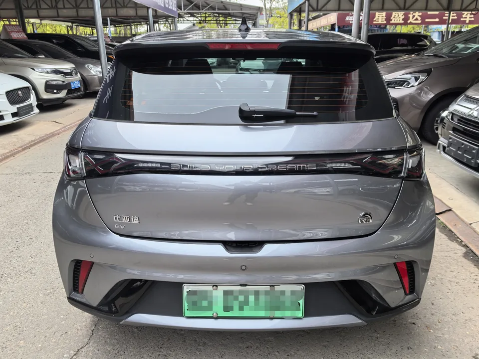 BYD Dolphin Dolphin 2023 Fashion Edition 2023 — миниатюра 2
