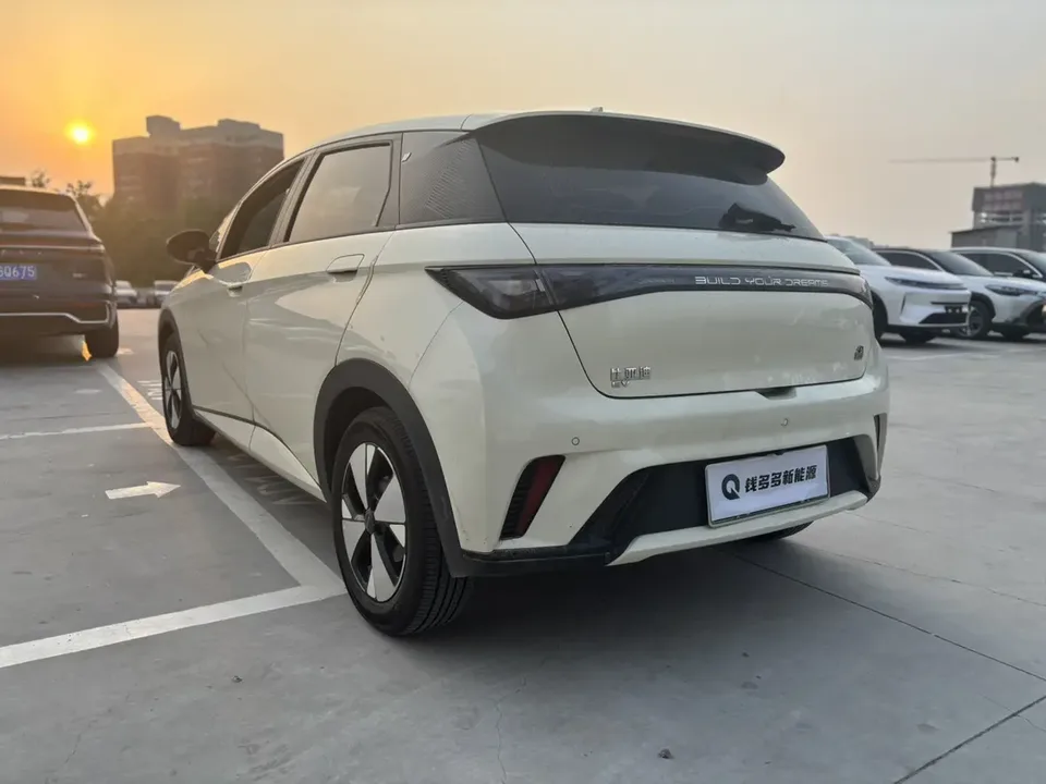 BYD Dolphin Dolphin 2023 Fashion Edition 2024 — миниатюра 2