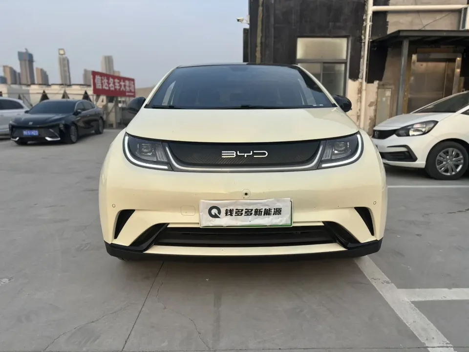 BYD Dolphin Dolphin 2023 Fashion Edition 2024 — миниатюра 3