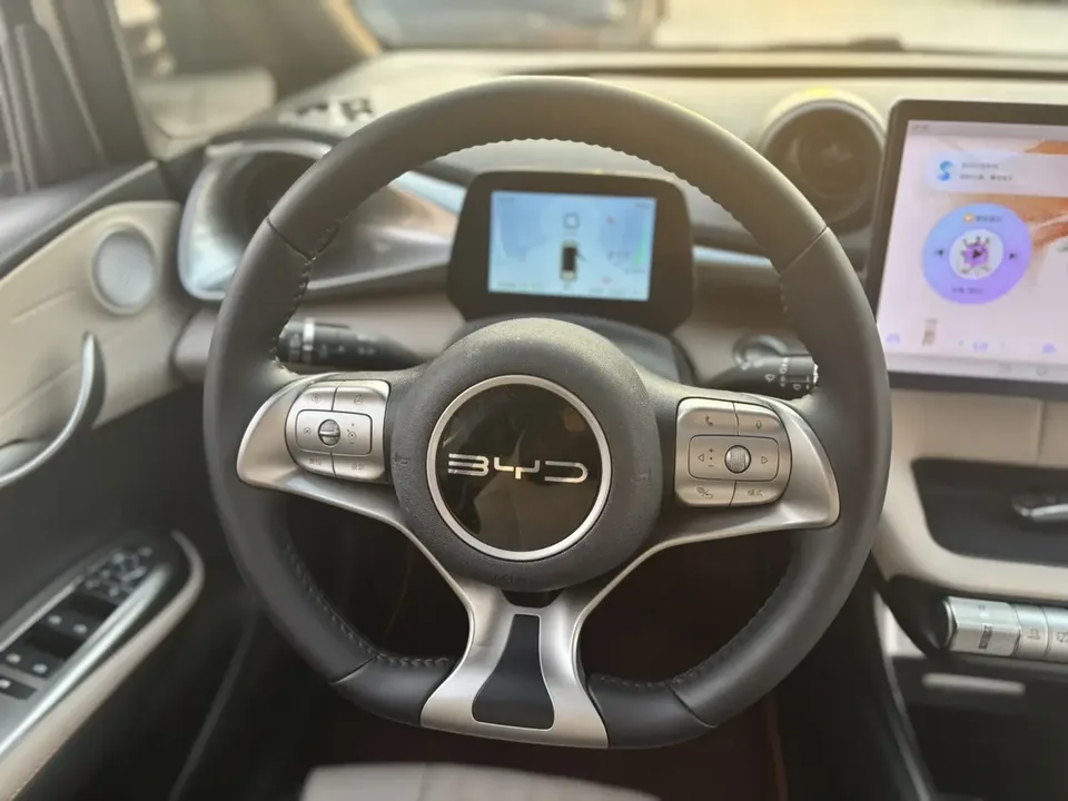 BYD Dolphin Dolphin 2023 Fashion Edition 2024 — миниатюра 4