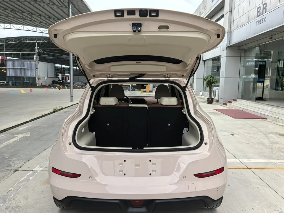 ORA Euler good cat 401km standard range luxury lithium iron phosphate 2023 — миниатюра 4