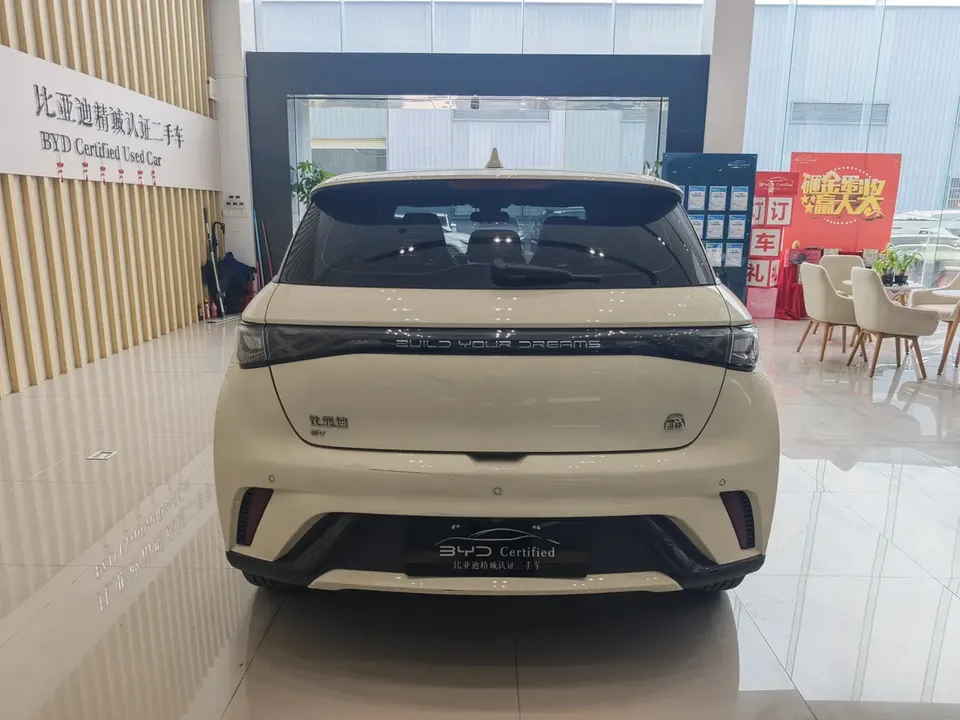 BYD Dolphin Dolphin 2023 Free Edition 2023 — миниатюра 2