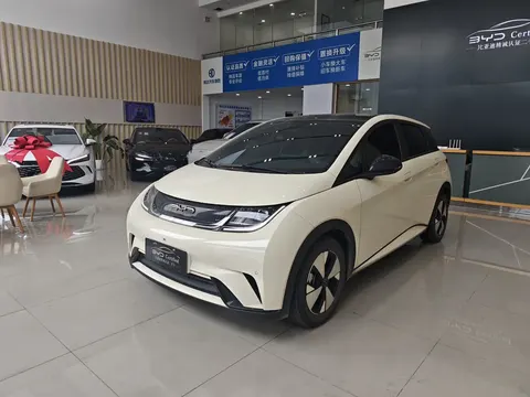 BYD Dolphin 2023 buy in Moscow