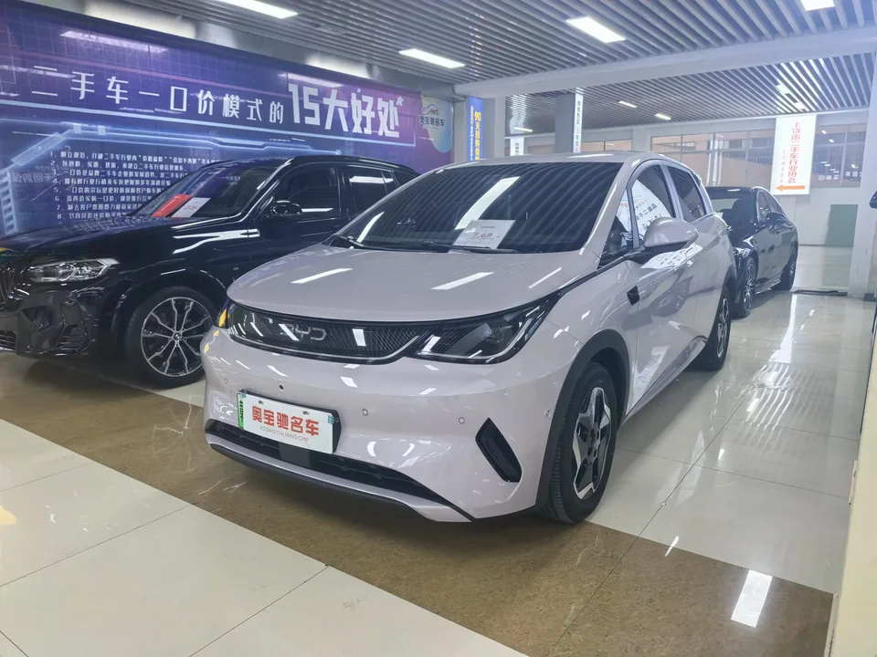 BYD Dolphin Smart Driving Edition 420KM Freedom Edition 2025 — фото 1, купить с доставкой в Москву