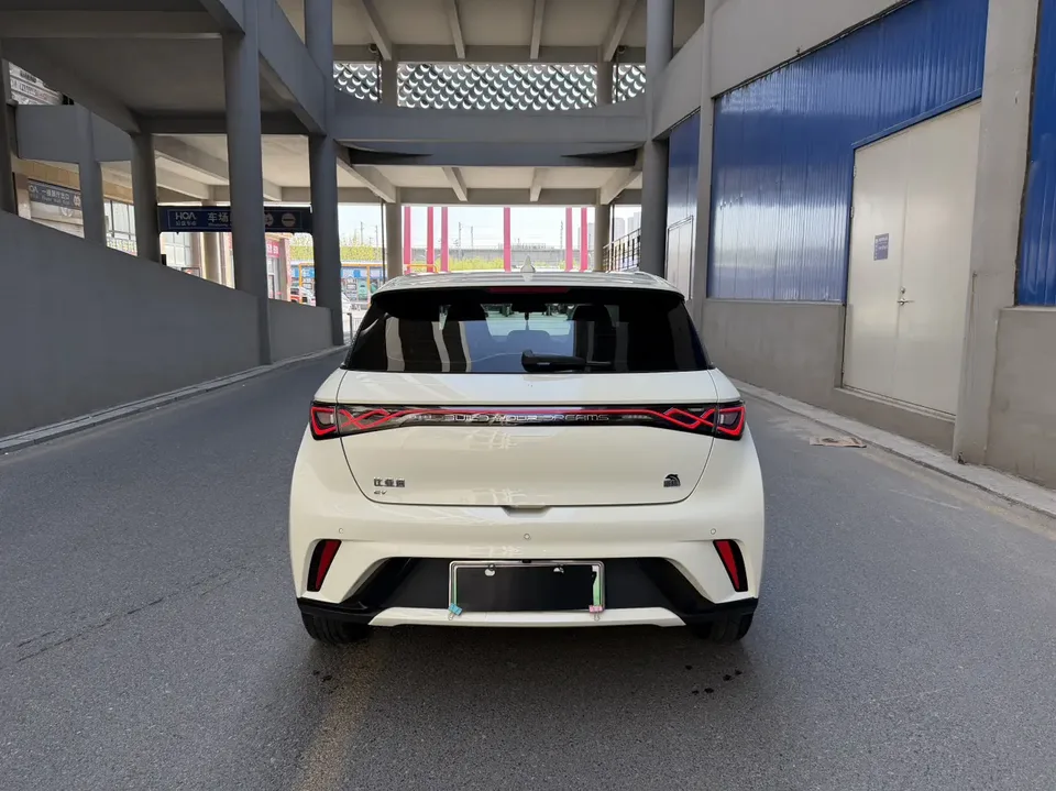 BYD Dolphin Dolphin 2023 Fashion Edition 2024 — миниатюра 2