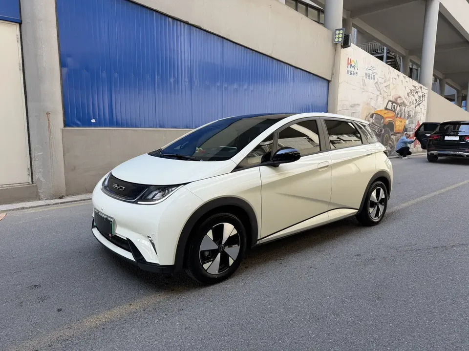 BYD Dolphin Dolphin 2023 Fashion Edition 2024 — фото 1, купить с доставкой в Москву