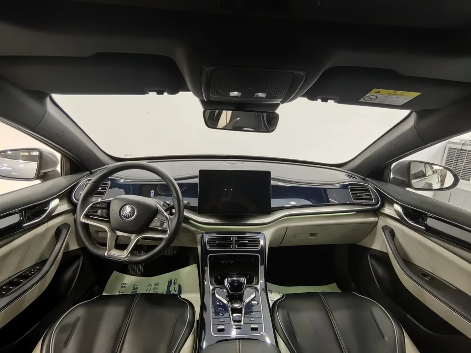 BYD Qin PLUS EV 500KM Premium Edition 2022 — миниатюра 2