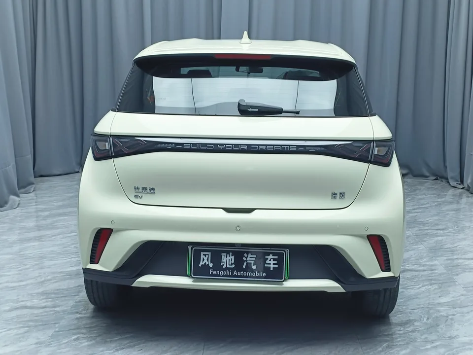 BYD Dolphin Dolphin 2025 420KM Freedom Edition 2026 — миниатюра 2