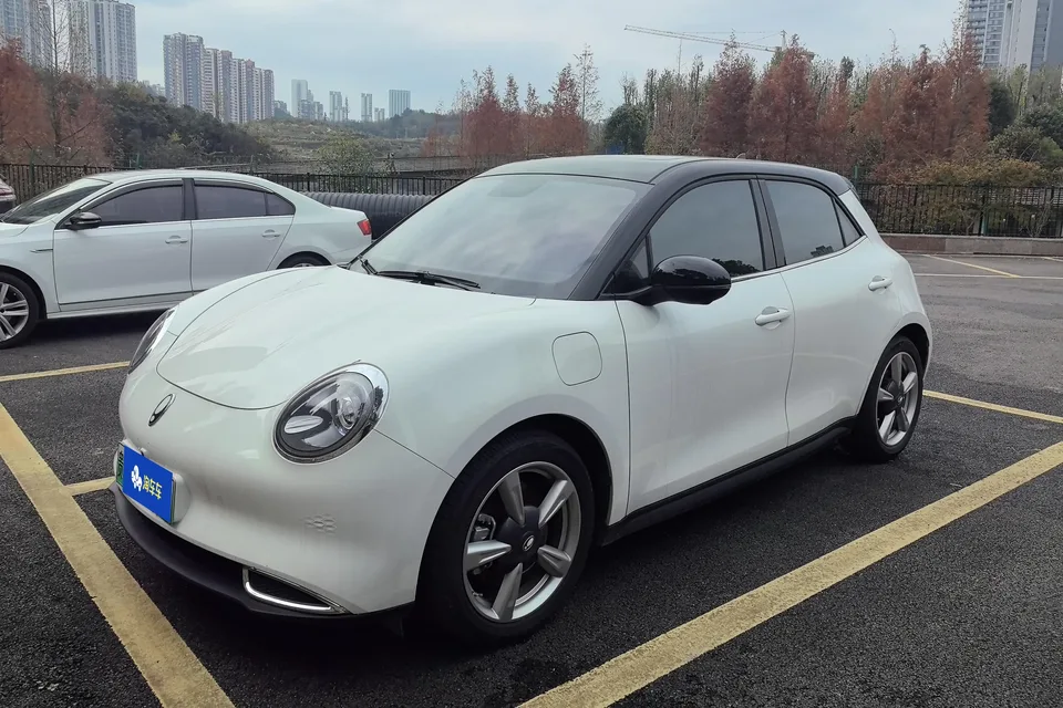 ORA Euler good cat 400km standard range premium ternary lithium model 2022 — фото 1, купить с доставкой в Москву