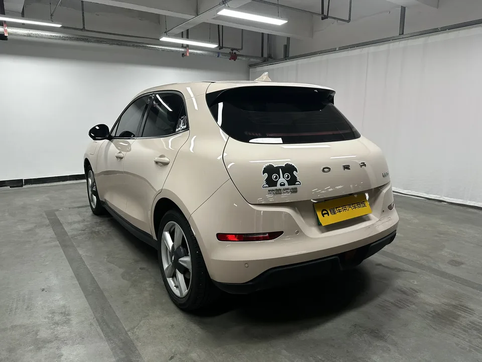 ORA Euler good cat 401km standard range luxury lithium iron phosphate 2024 — миниатюра 2