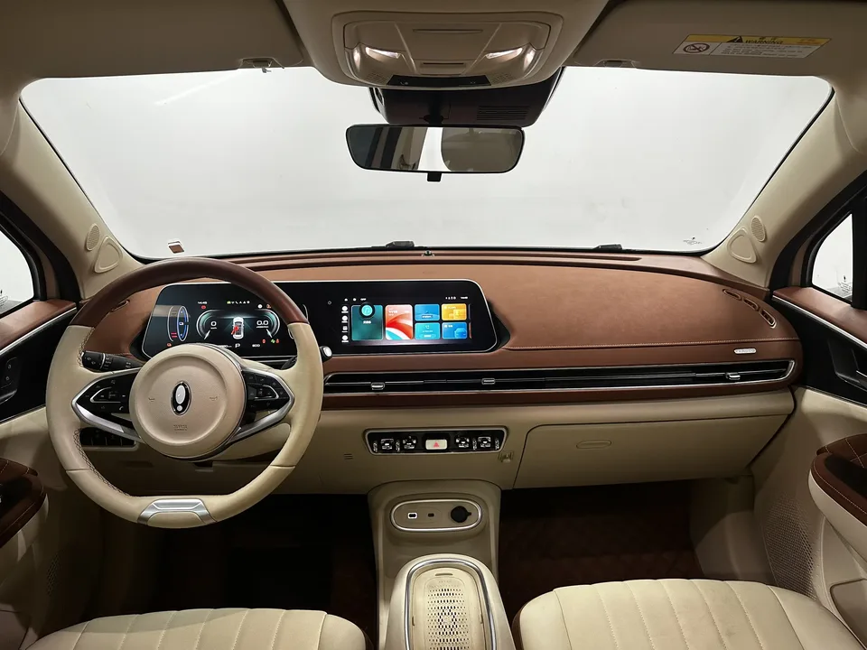 ORA Euler good cat 401km standard range luxury lithium iron phosphate 2024 — миниатюра 4