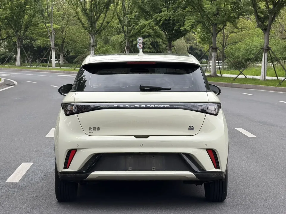 BYD Dolphin Dolphin 2023 Fashion Edition 2024 — миниатюра 2