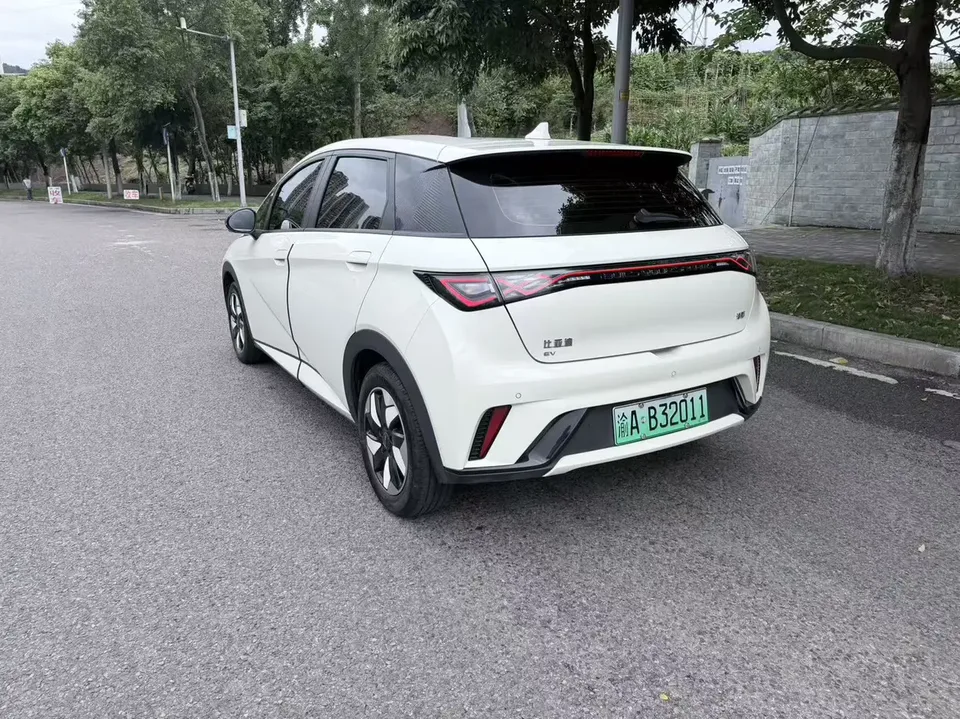 BYD Dolphin Honor Edition 420km Free Edition 2024 — миниатюра 4