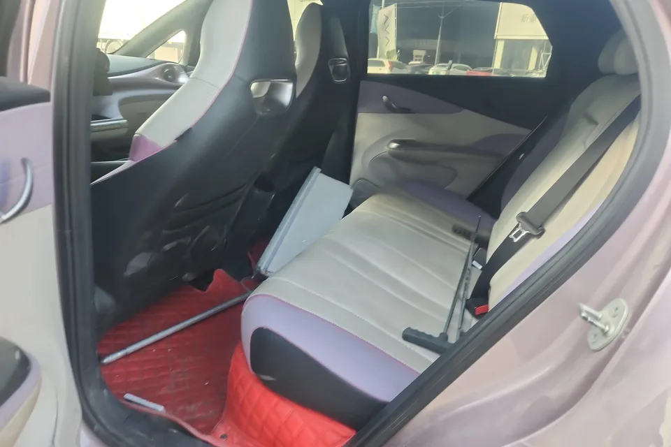 BYD Dolphin Dolphin 2023 Fashion Edition 2024 — миниатюра 4