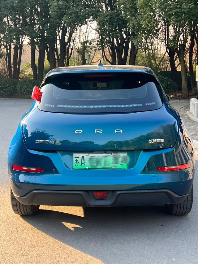 ORA Euler good cat Morandi Edition 400km Standard Range Luxury Lithium Iron Phosphate 2022 — миниатюра 2