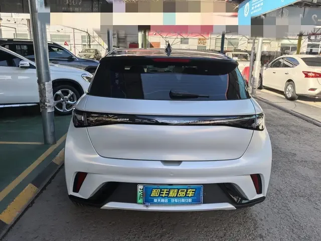 BYD Dolphin Dolphin 2023 Free Edition 2024 — миниатюра 2