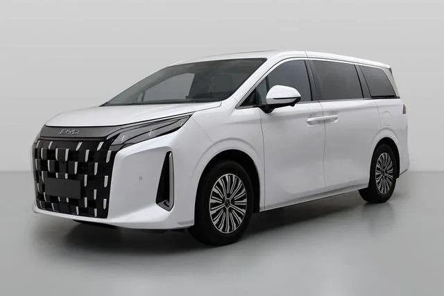 BYD M9 1060 Pro 2025 — фото 1, купить с доставкой в Москву
