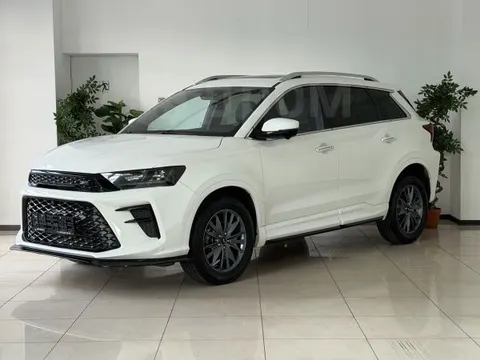 SWM G01F 2023 купить в Москве