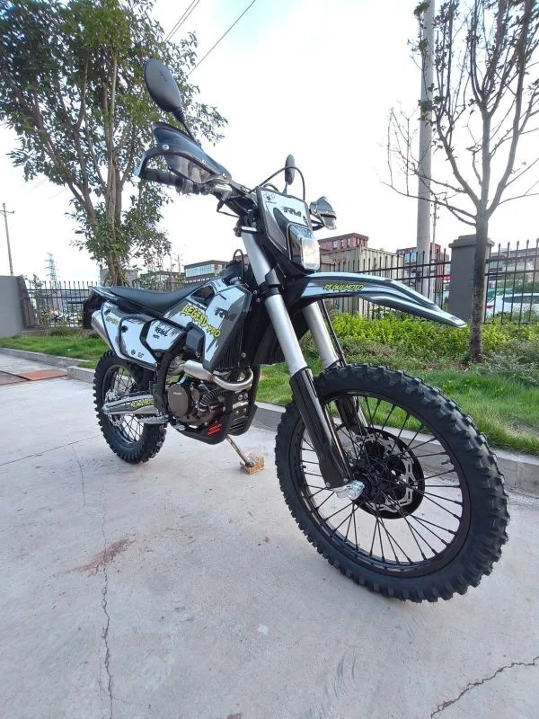 Regulmoto Legend Pro 2025 — фото 1, купить с доставкой в Москву