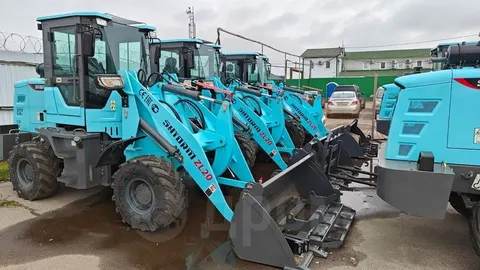 Shandong Shtorm ZL20 2023 buy in Moscow