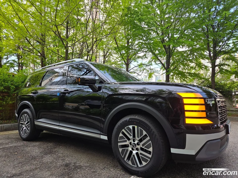 Hyundai Palisade HEV 2.5T 2WD 9 2025 — миниатюра 3