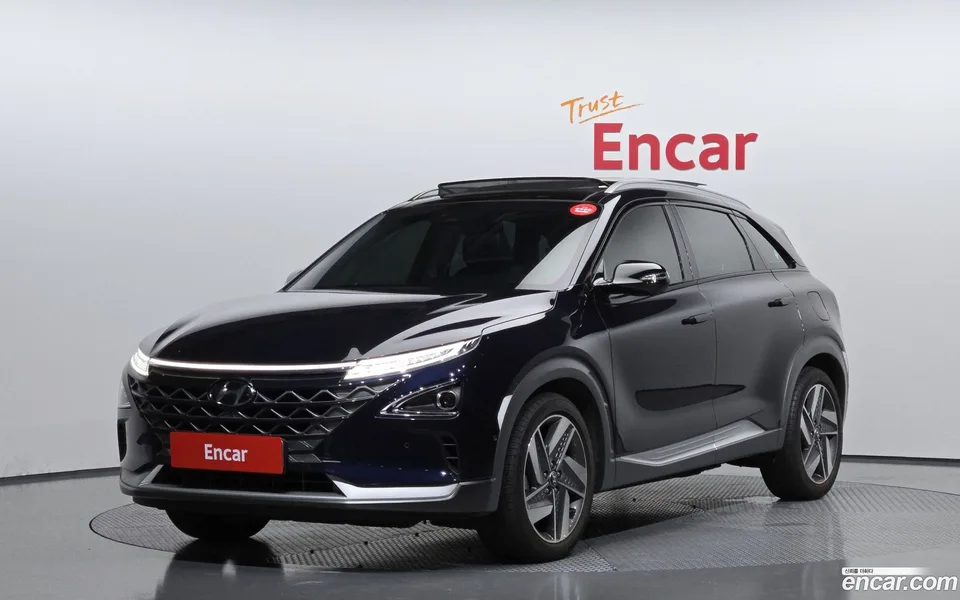 Hyundai Nexo 2022 — фото 1, купить с доставкой в Москву
