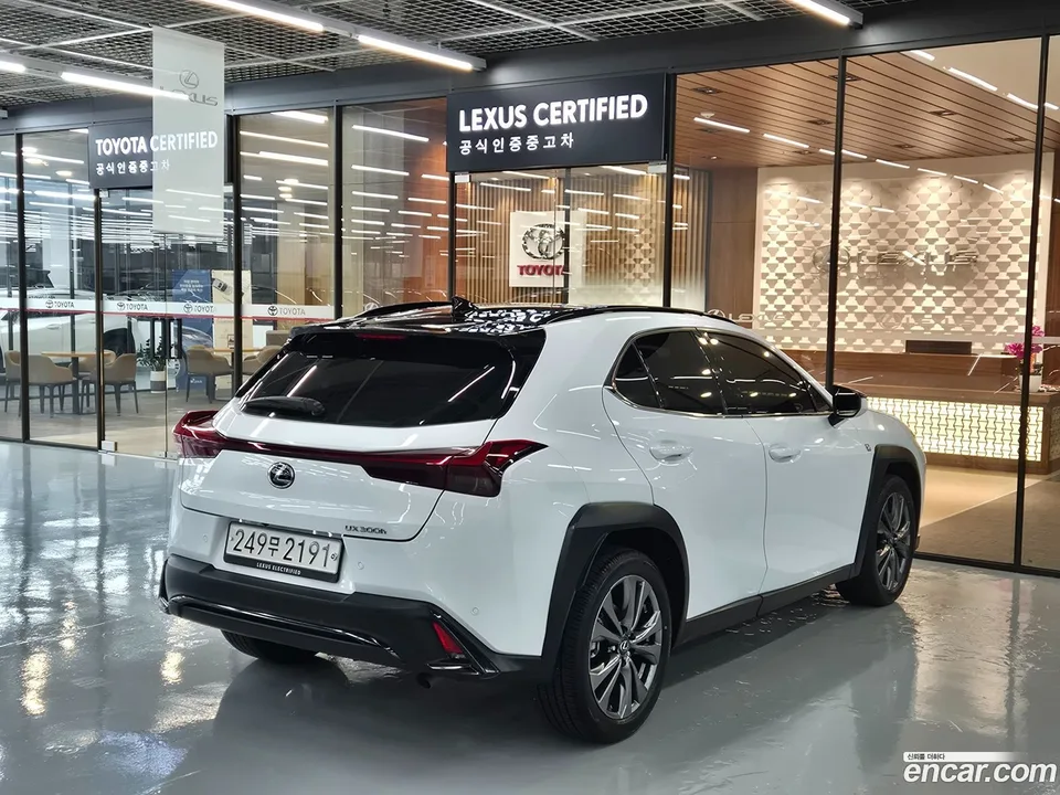Lexus UX 300h 2.0 F-Sport 2WD 2024 — миниатюра 2