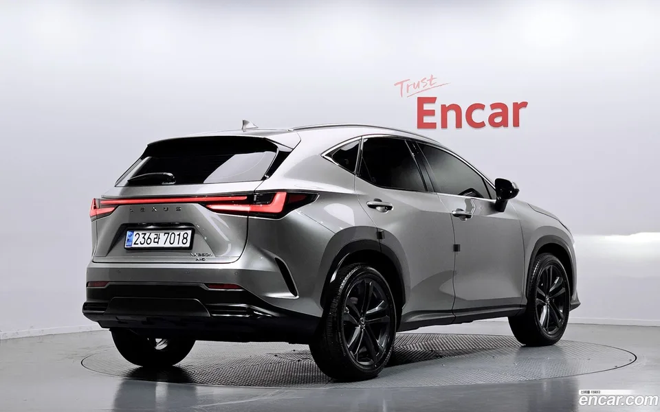Lexus NX 350h 2025 — миниатюра 2