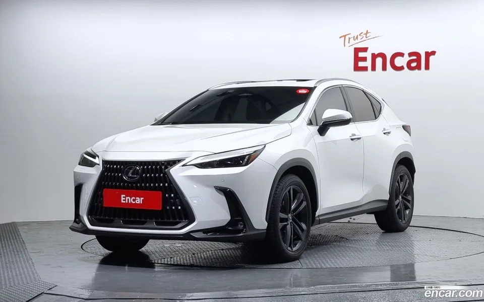 Lexus NX 350h 2024 — фото 1, купить с доставкой в Москву
